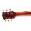 ls58-13web